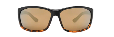Sports Sunglasses