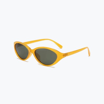 Polarized Fashion Sunglasses