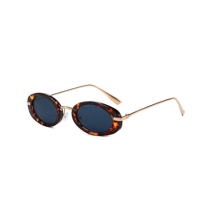 Small Frame Oval Retro Sunglasses