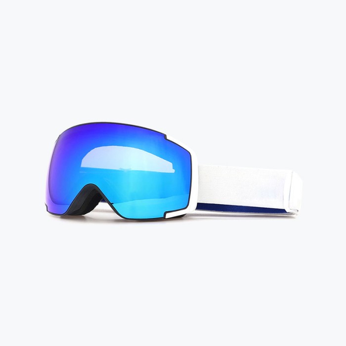 Winter Ski Goggles Replaceable Lens Anti-Fog Sports Glasses