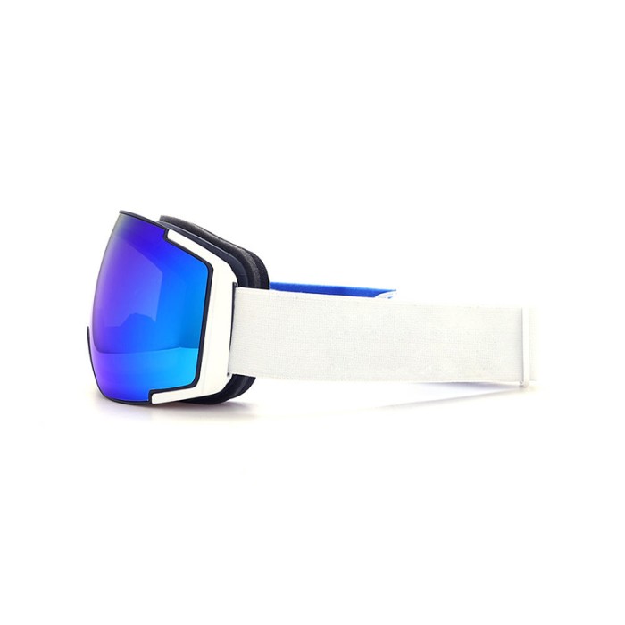 Winter Ski Goggles Replaceable Lens Anti-Fog Sports Glasses
