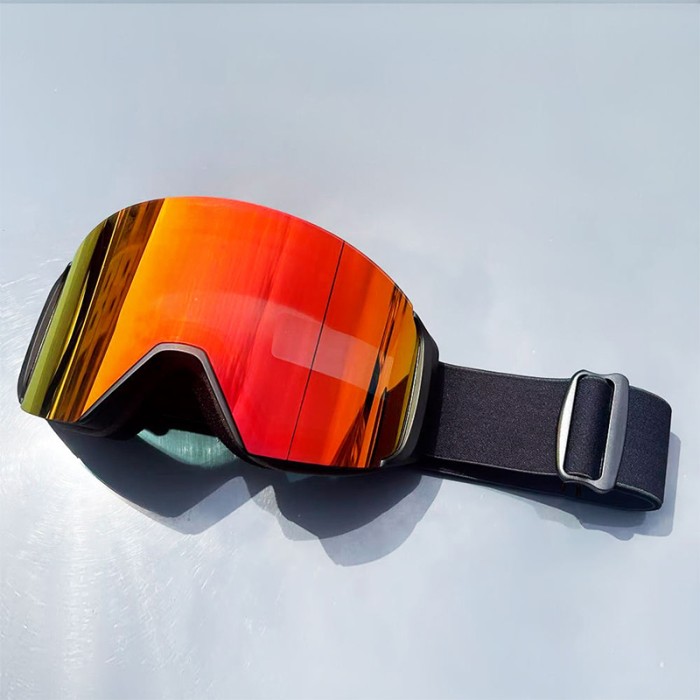 Professional Ski Goggles Polarized Anti-Fog Sports Glasses