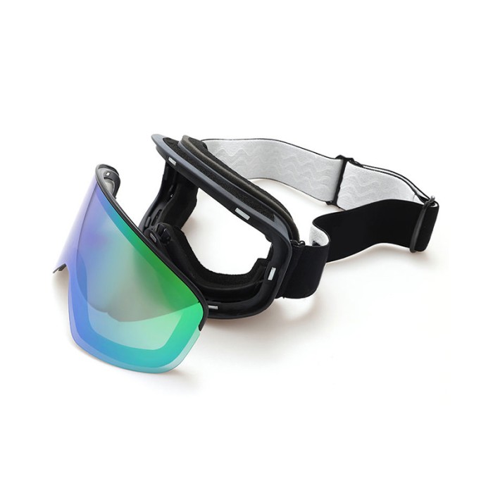 Professional Sports Magnetic Anti-Fog Ski Goggles