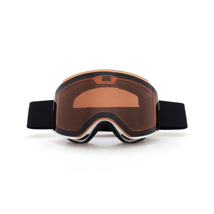 Liquid Crystal Electrochromic Magnetic Ski Goggles