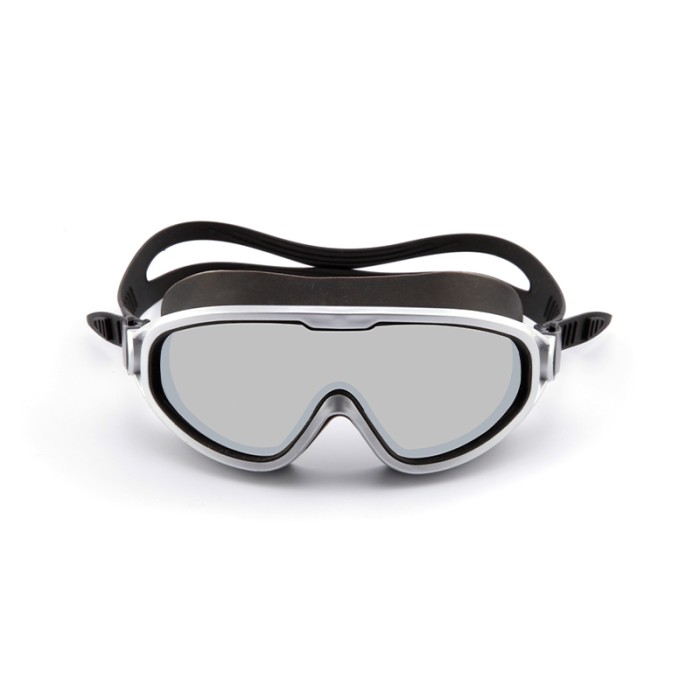 Large Frame Anti-Fog Professional Swimming Goggles