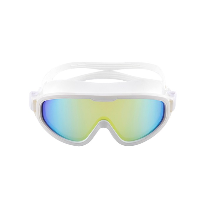 Large Frame Anti-Fog Professional Swimming Goggles